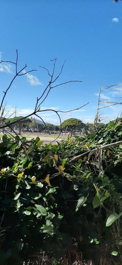 Les Iles D'Or Au Port De Hyeres Grand Studio Climatise Екстер'єр фото