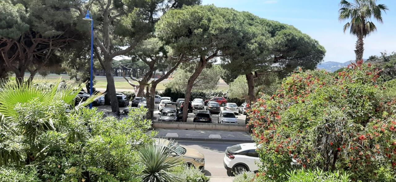 Les Iles D'Or Au Port De Hyeres Grand Studio Climatise Екстер'єр фото