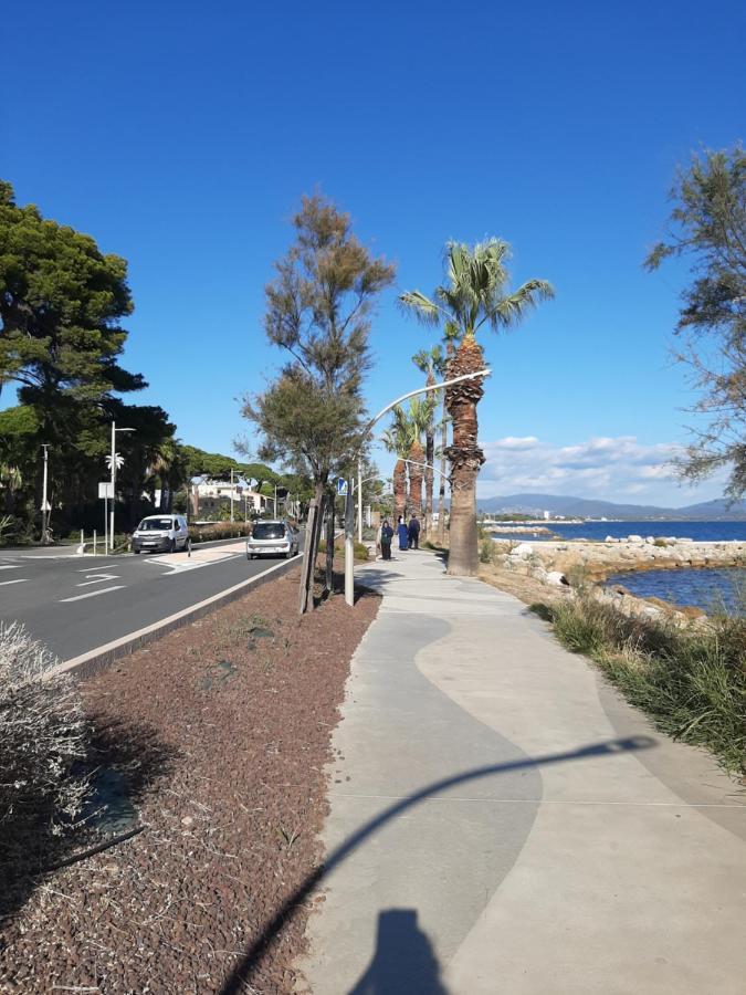Les Iles D'Or Au Port De Hyeres Grand Studio Climatise Екстер'єр фото